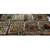 Catering luty 2020
