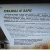 P1010428
